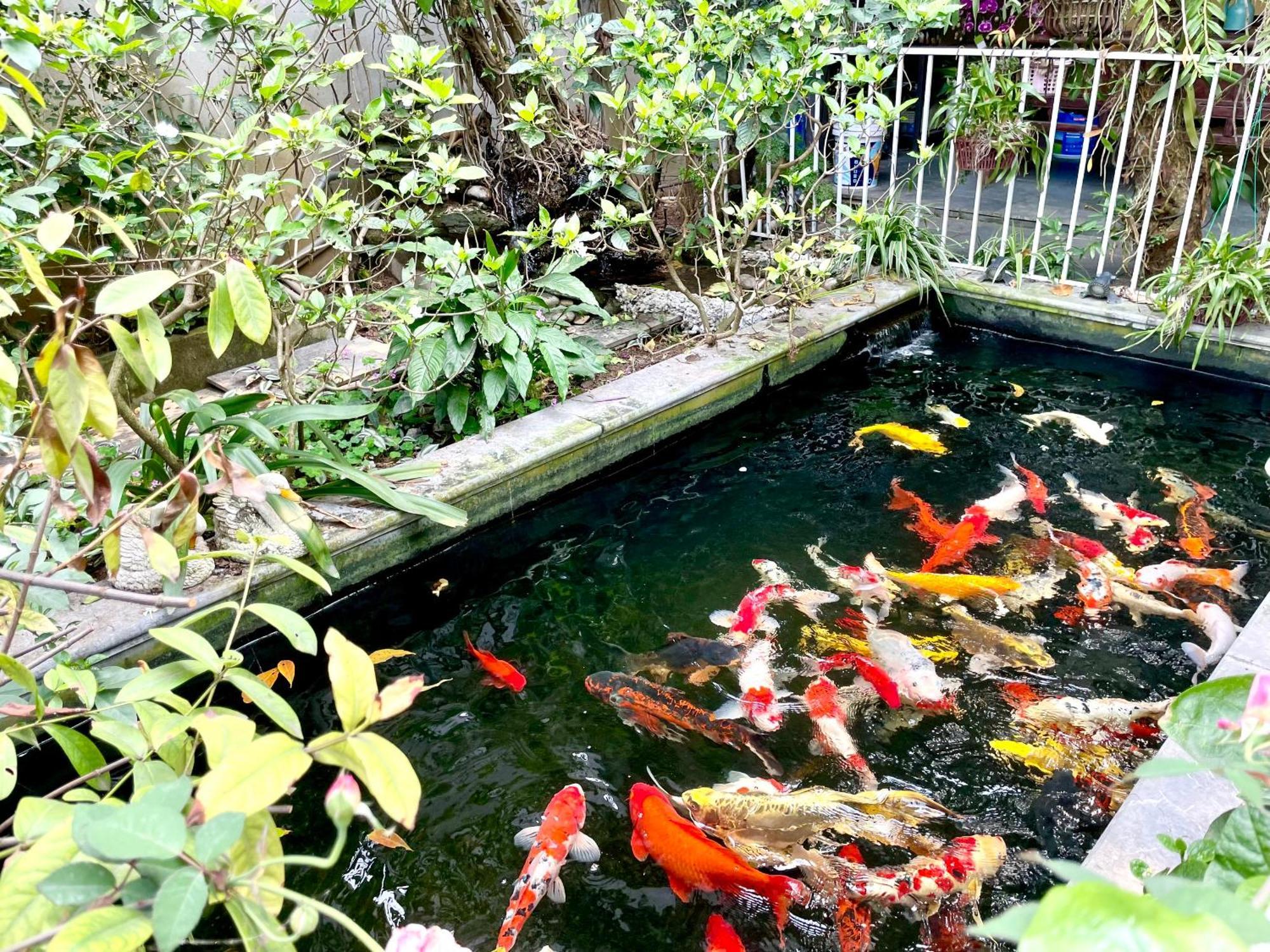 Lee Homestay Hanoi Exterior photo