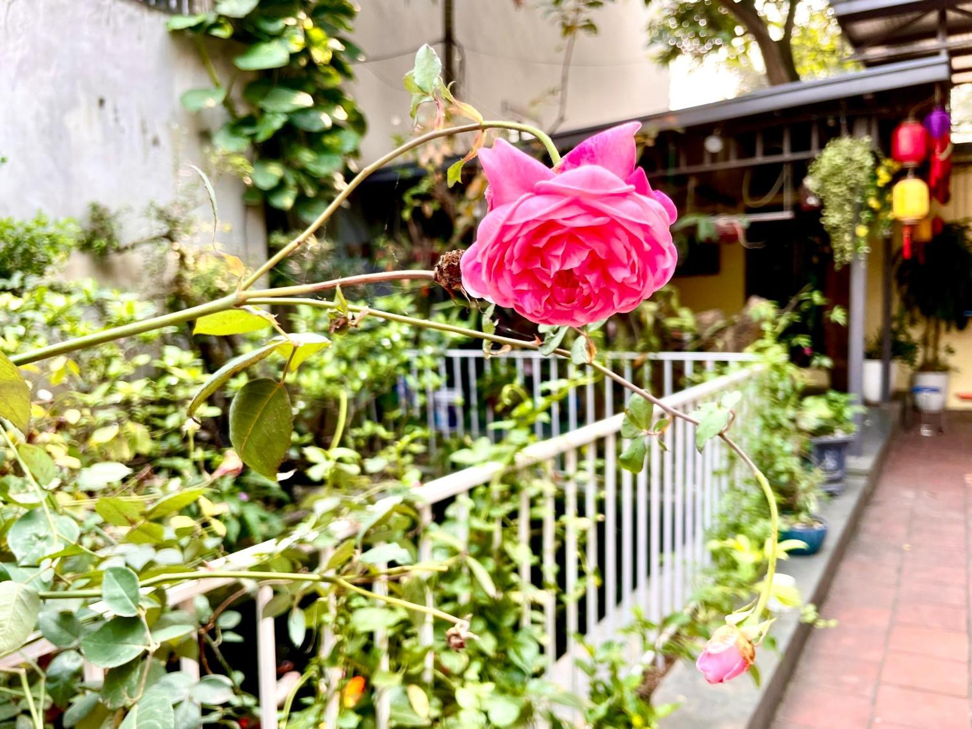 Lee Homestay Hanoi Exterior photo