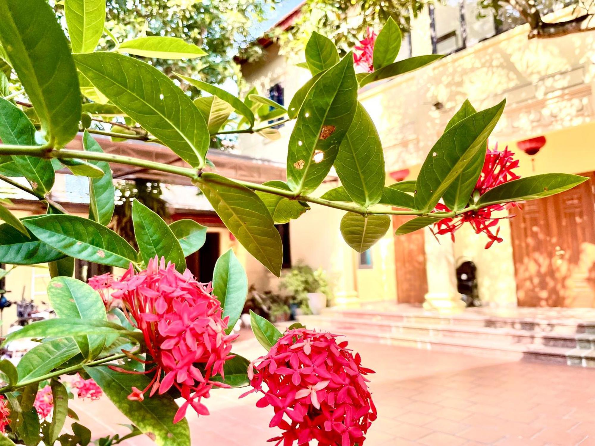 Lee Homestay Hanoi Exterior photo