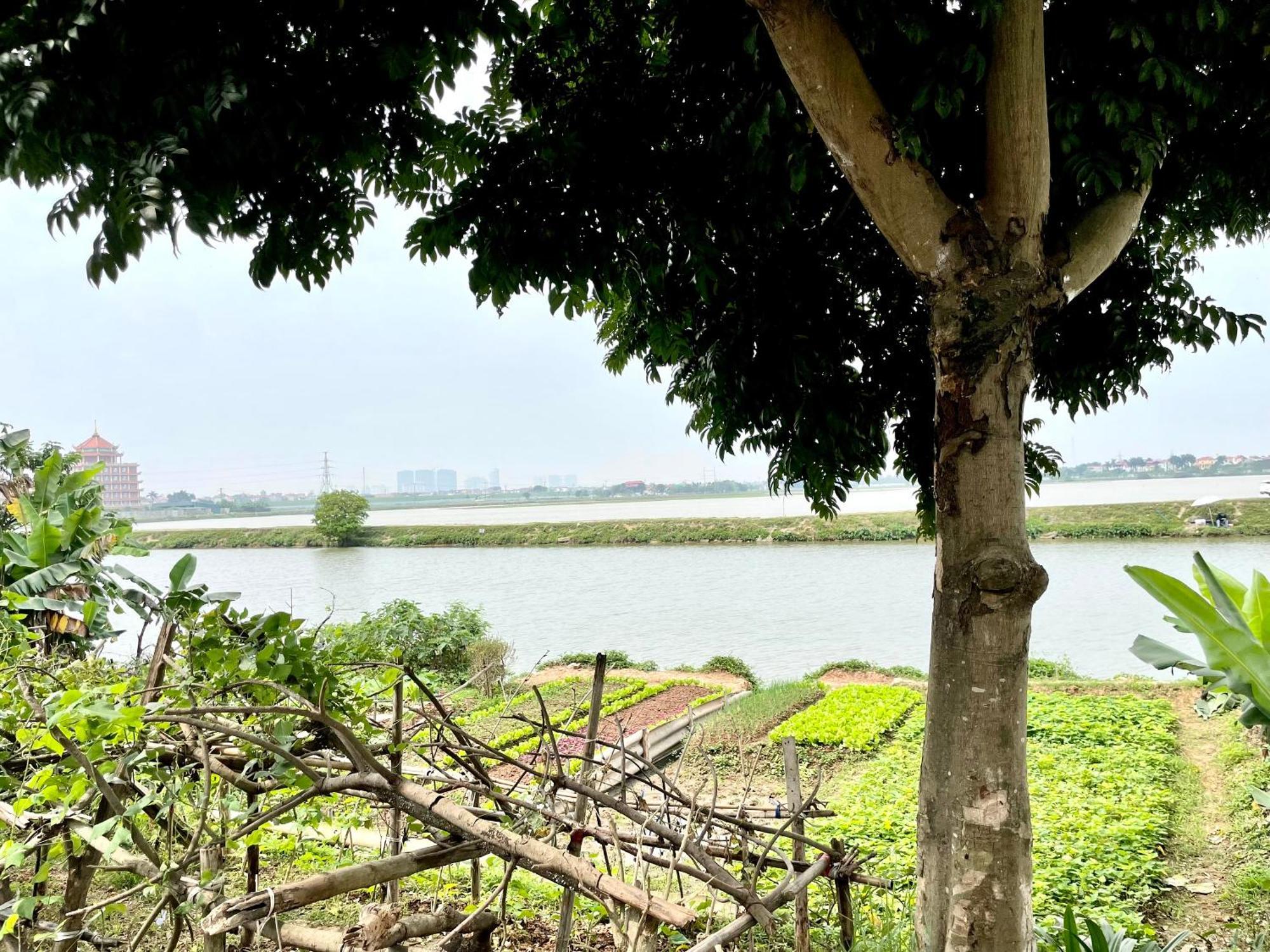 Lee Homestay Hanoi Exterior photo